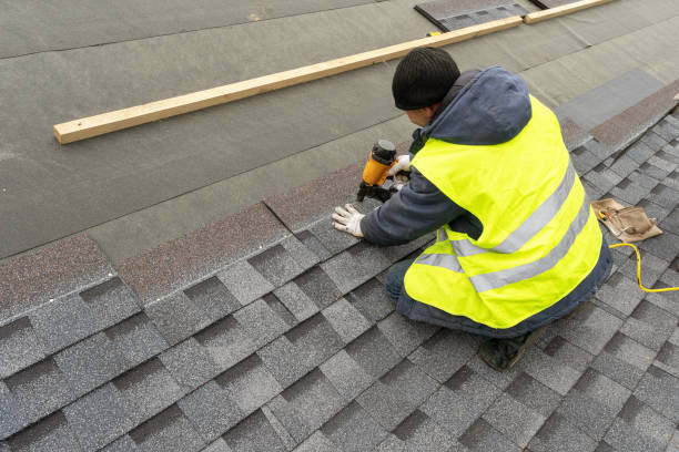 Best Metal Roofing Contractor  in Ferndale, WA