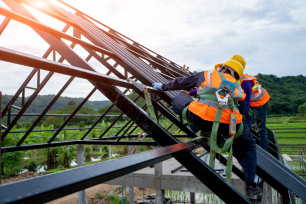 Best Best Roofing Contractors  in Ferndale, WA