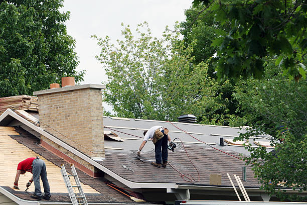 Best Slate Roofing Contractor  in Ferndale, WA