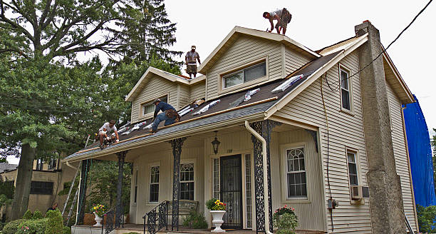 Best Best Roofing Contractors  in Ferndale, WA