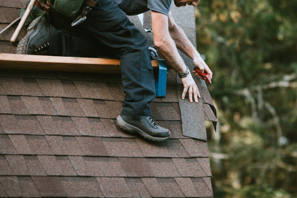 Best Best Roofing Contractors  in Ferndale, WA